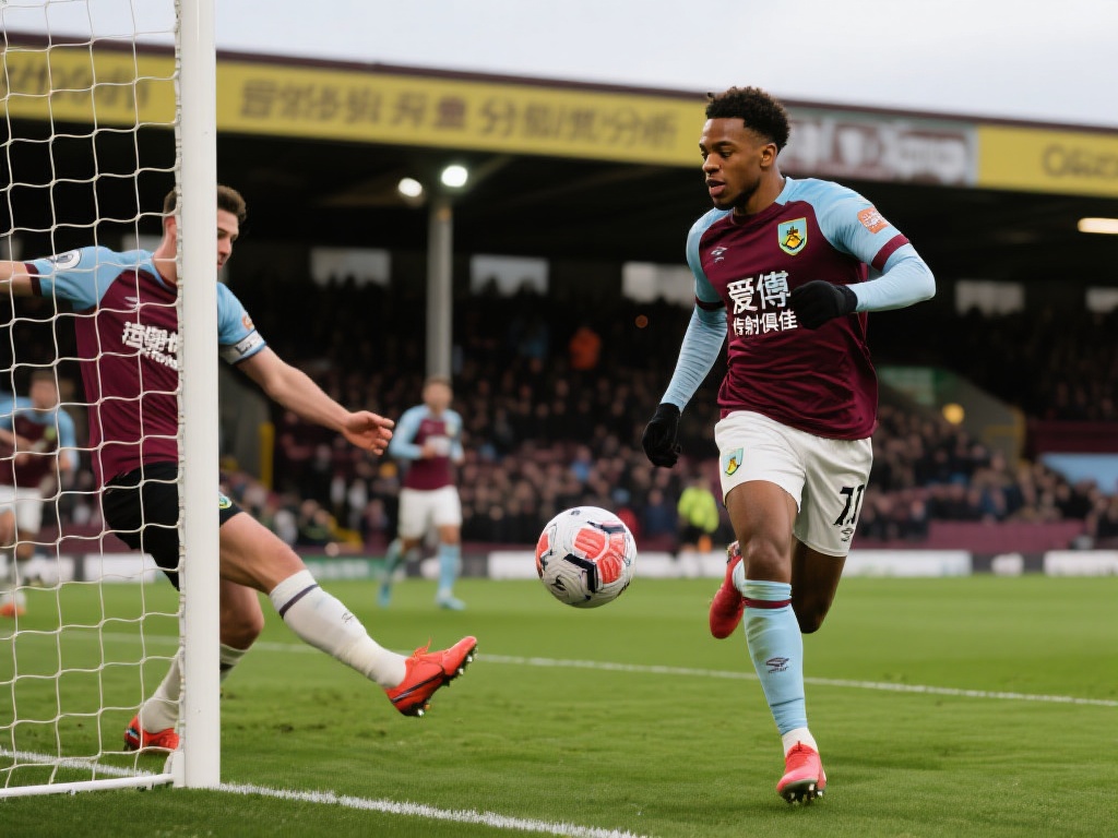 用户的青睐 用户的青睐